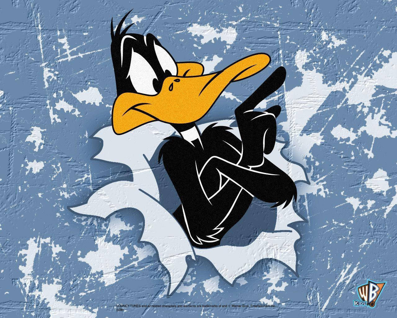 Cartoon Character Daffy Duck Background