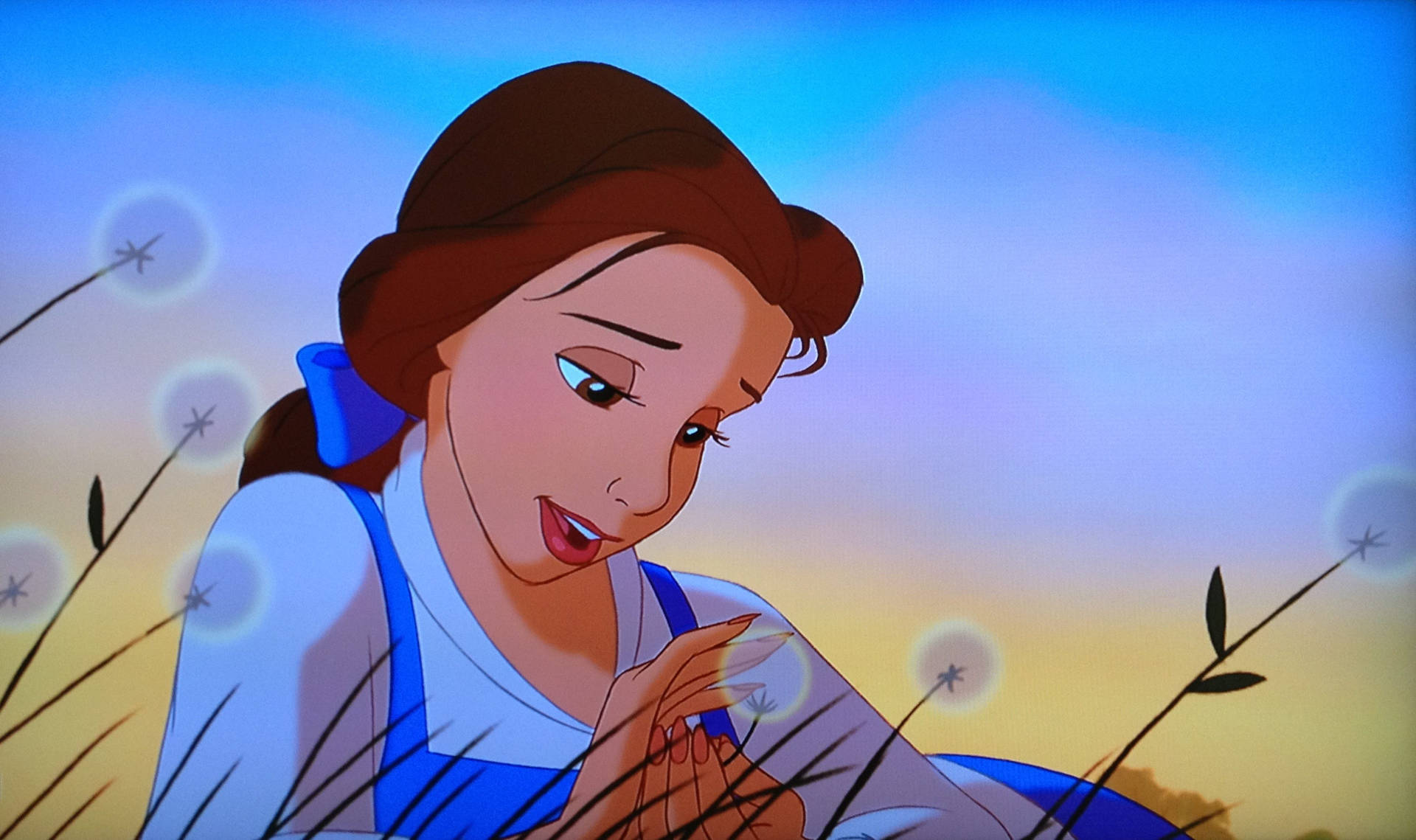 Cartoon Disney Princess Belle Background