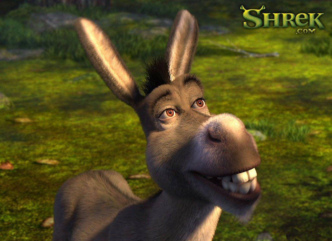 Cartoon Donkey From Shrek