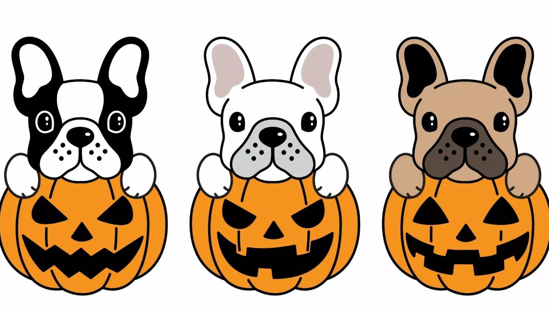 Cartoon Halloween Puppies In Pumpkins Background