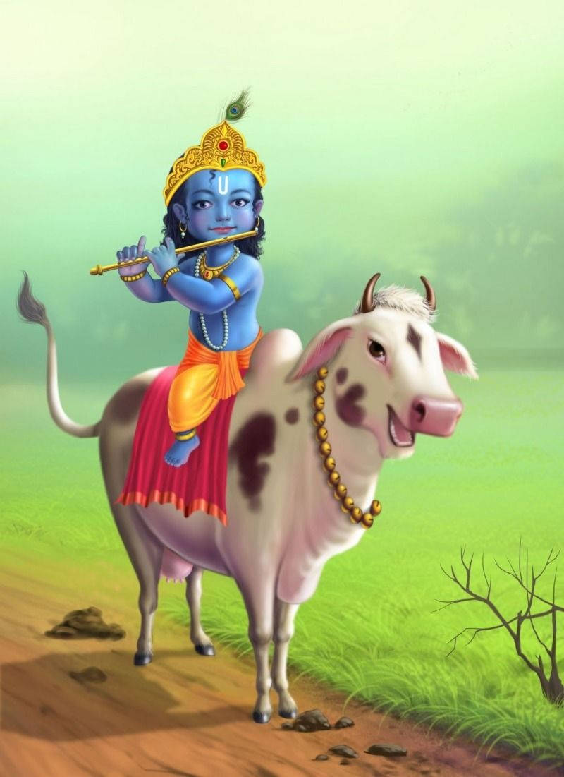 Cartoon Krishna On Cow Background