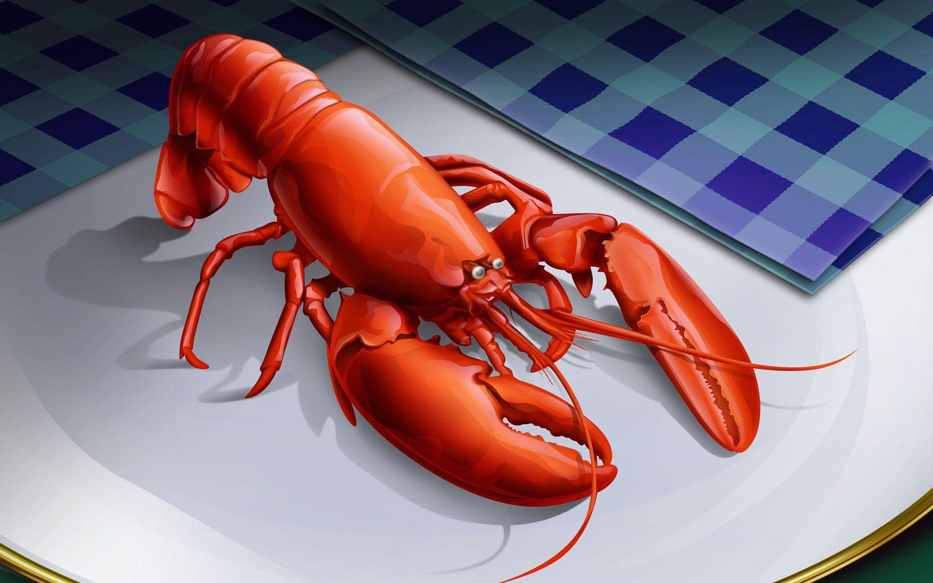 Cartoon Lobster Illustration Background