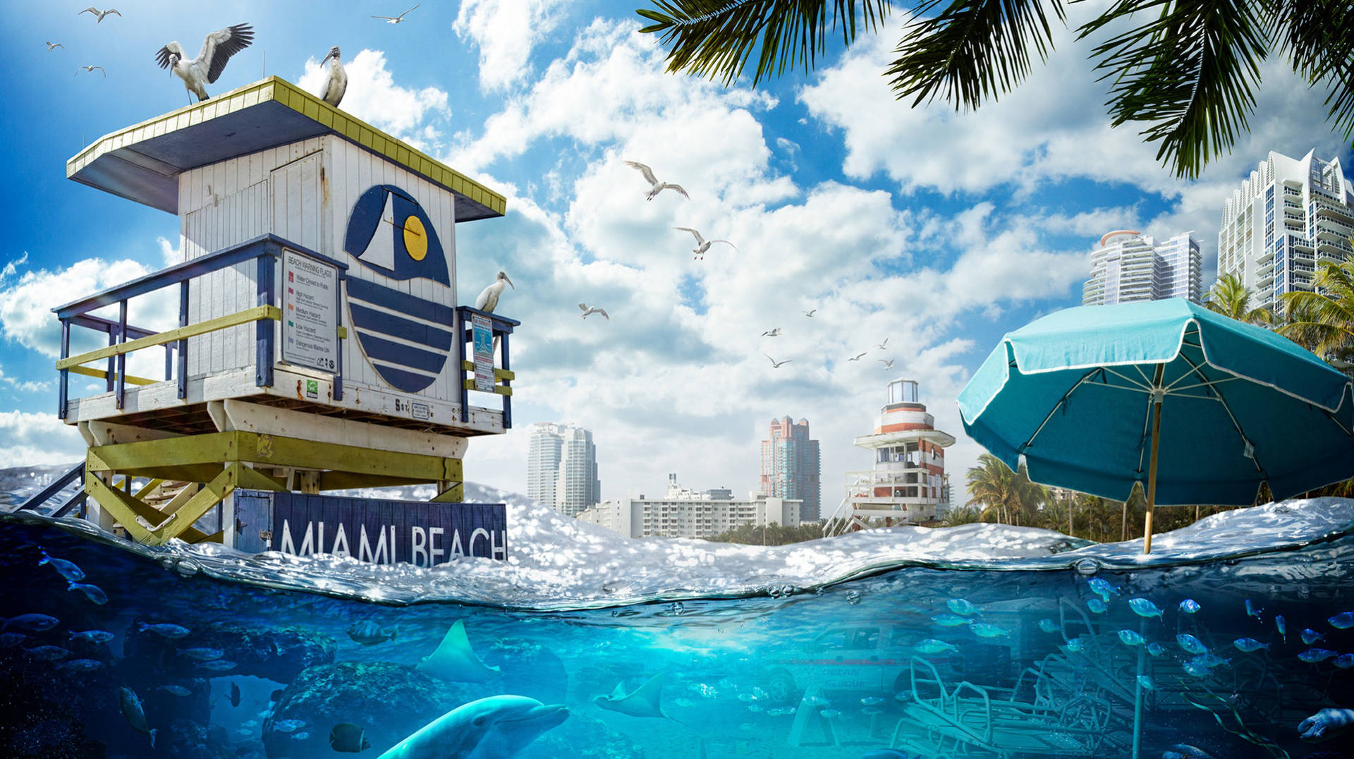 Cartoon Miami Sea Background