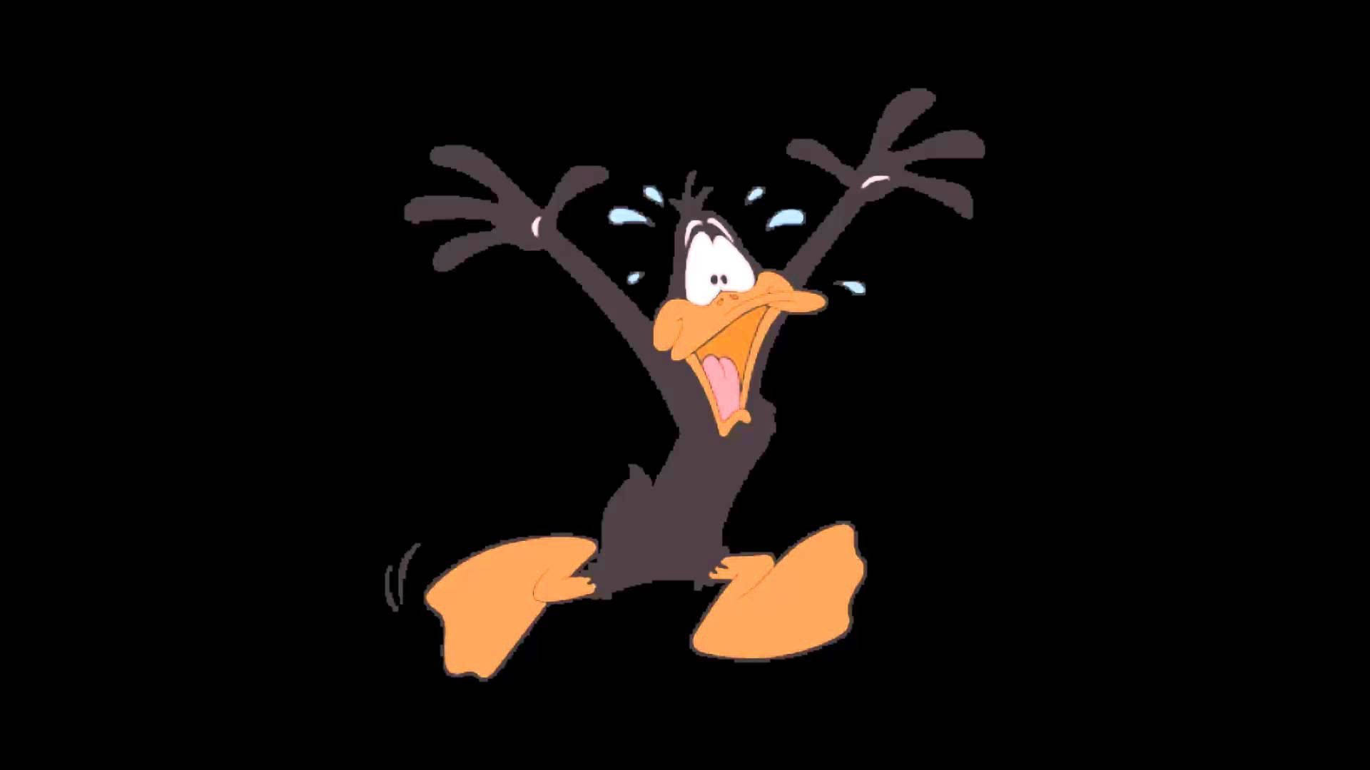Cartoon Running Daffy Duck Background