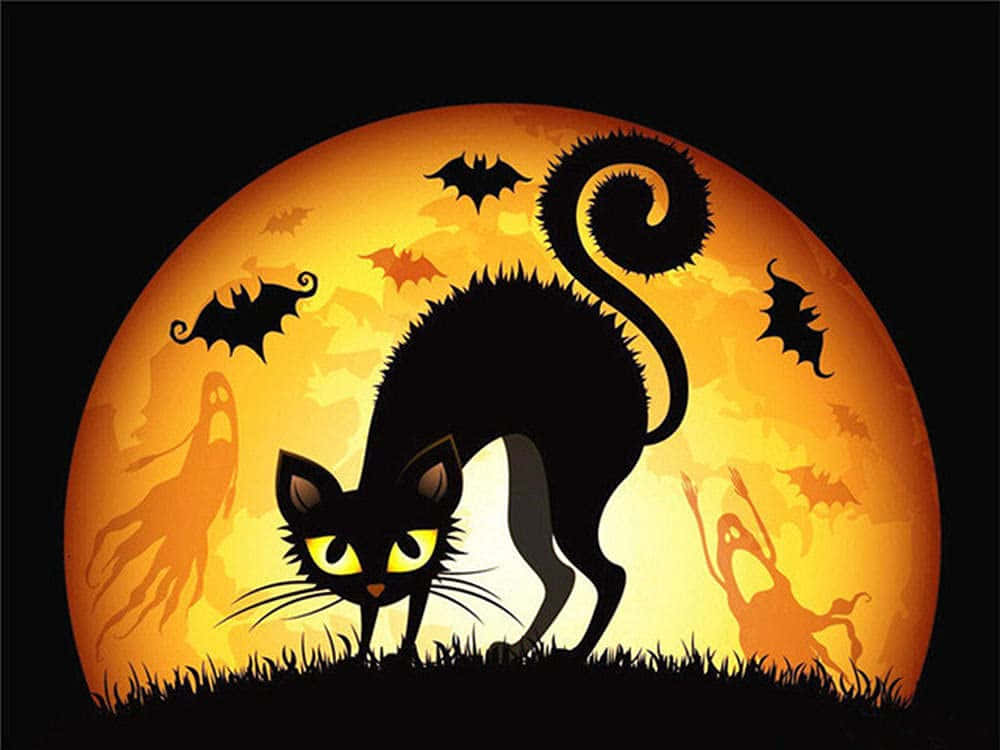 Cartoon Scary Cat With Bats