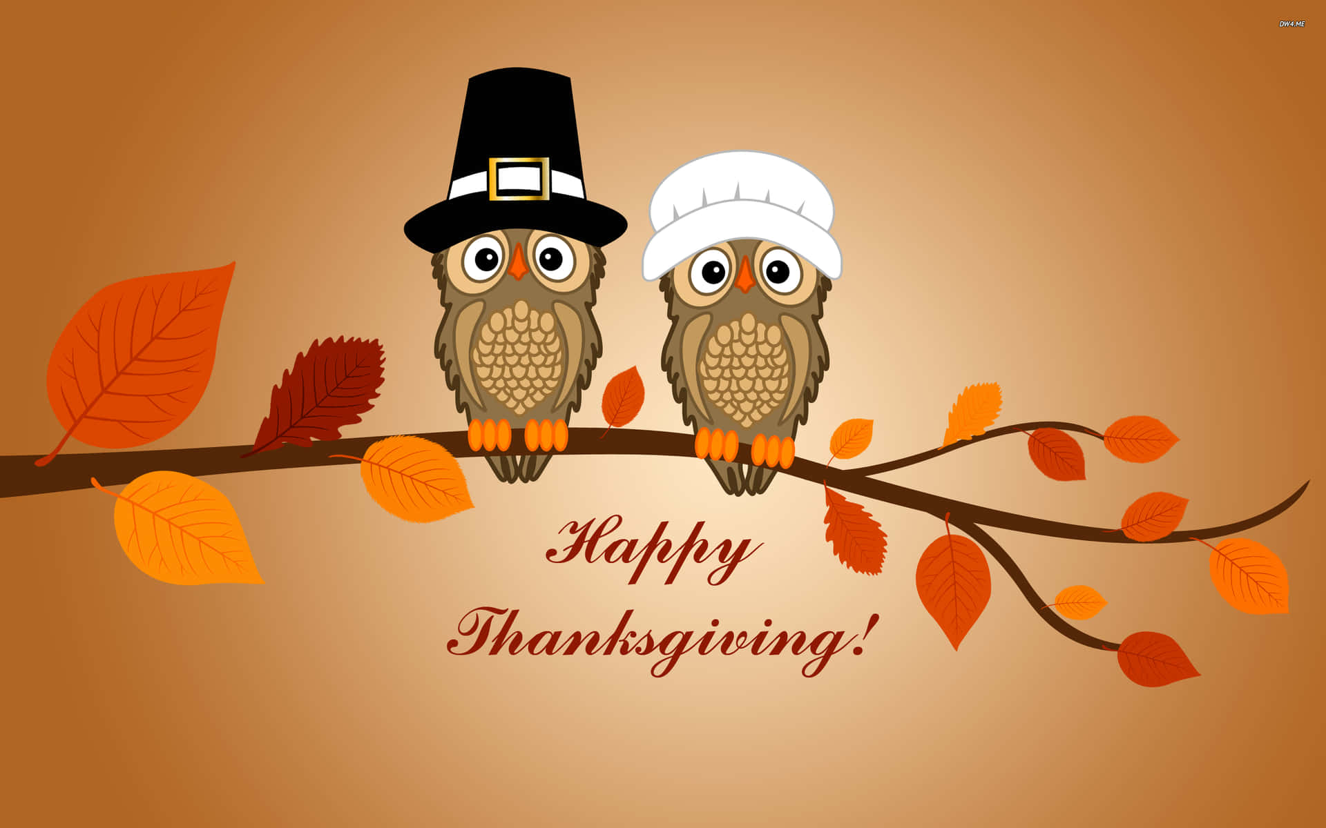 Cartoon Thanksgiving Owls On A Branch Background