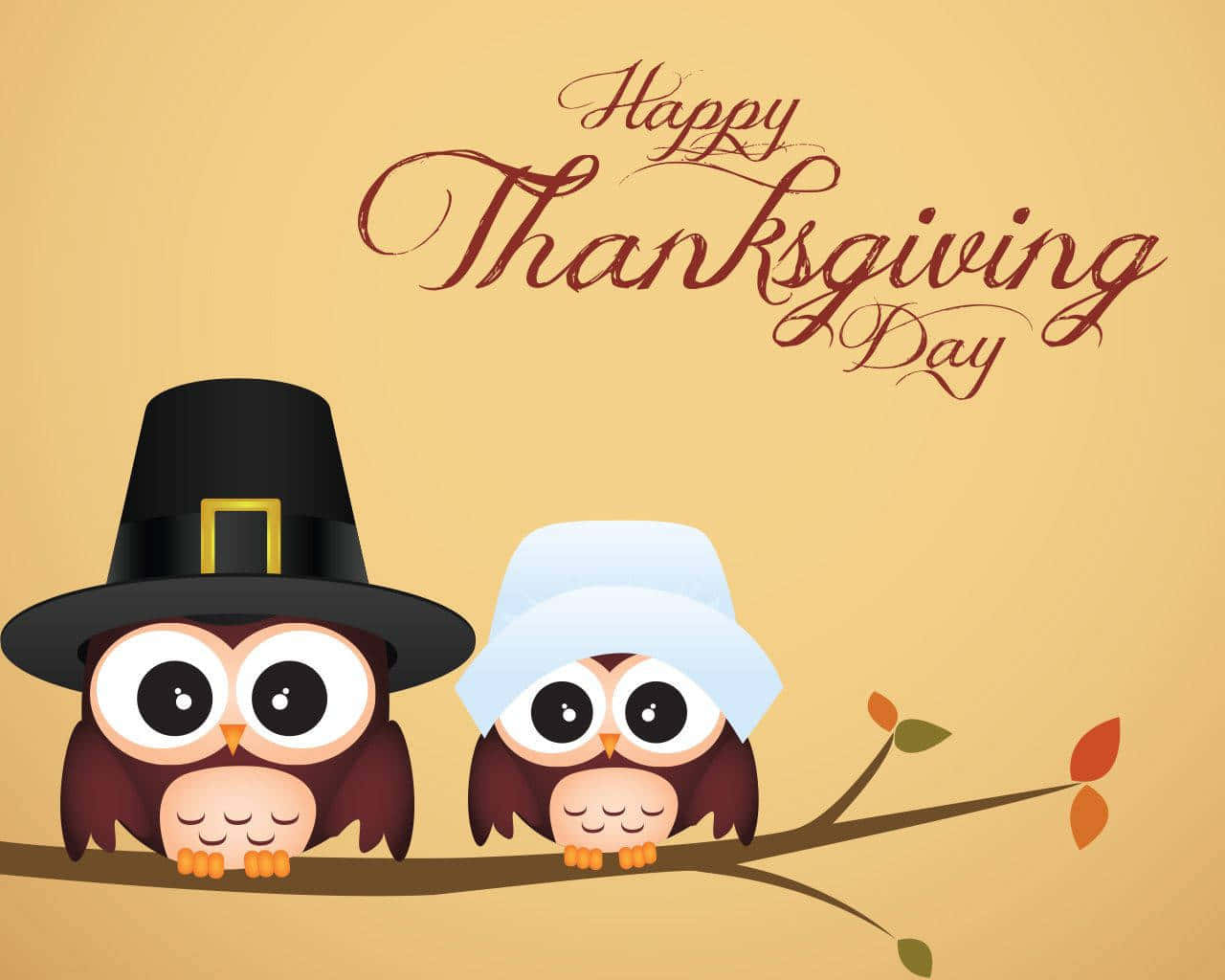 Cartoon Thanksgiving Owls With A Message Background