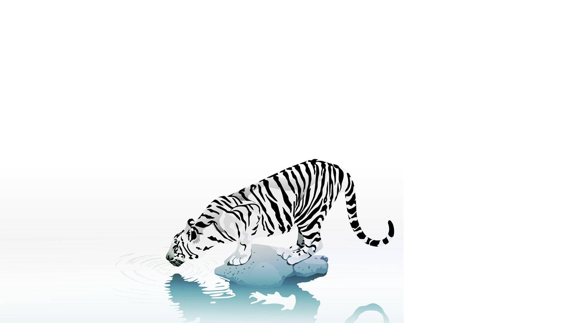 Cartoon Tiger On White Background Background
