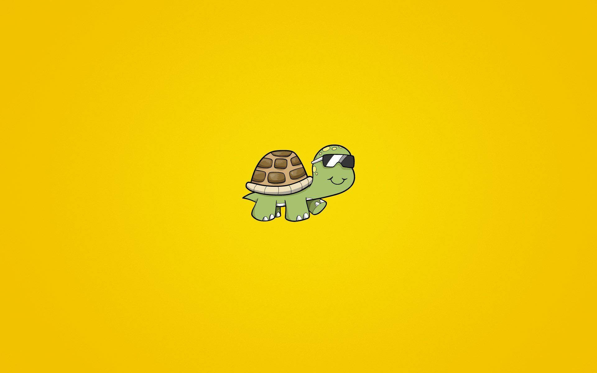 Cartoon Turtle With Sunglasses Background