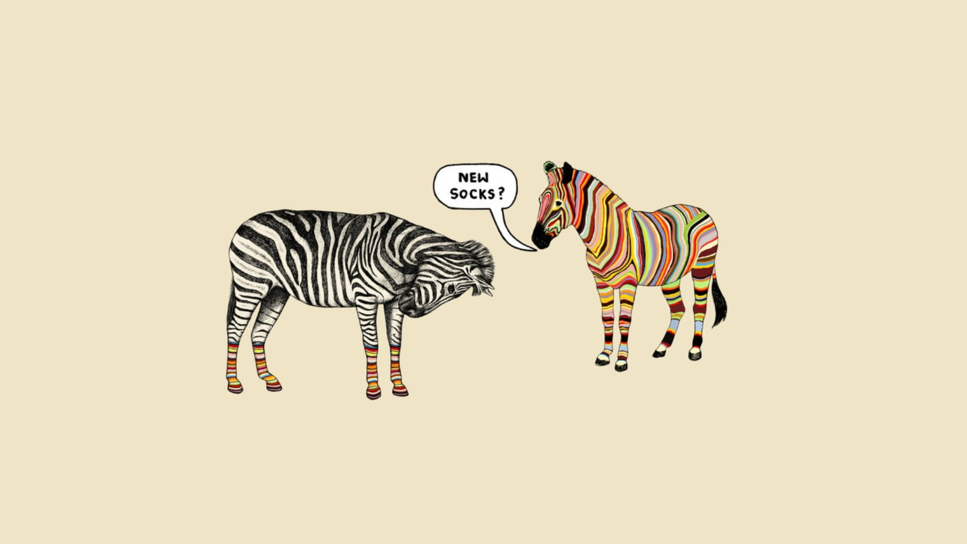 Cartoon Zebra Funny Art Background