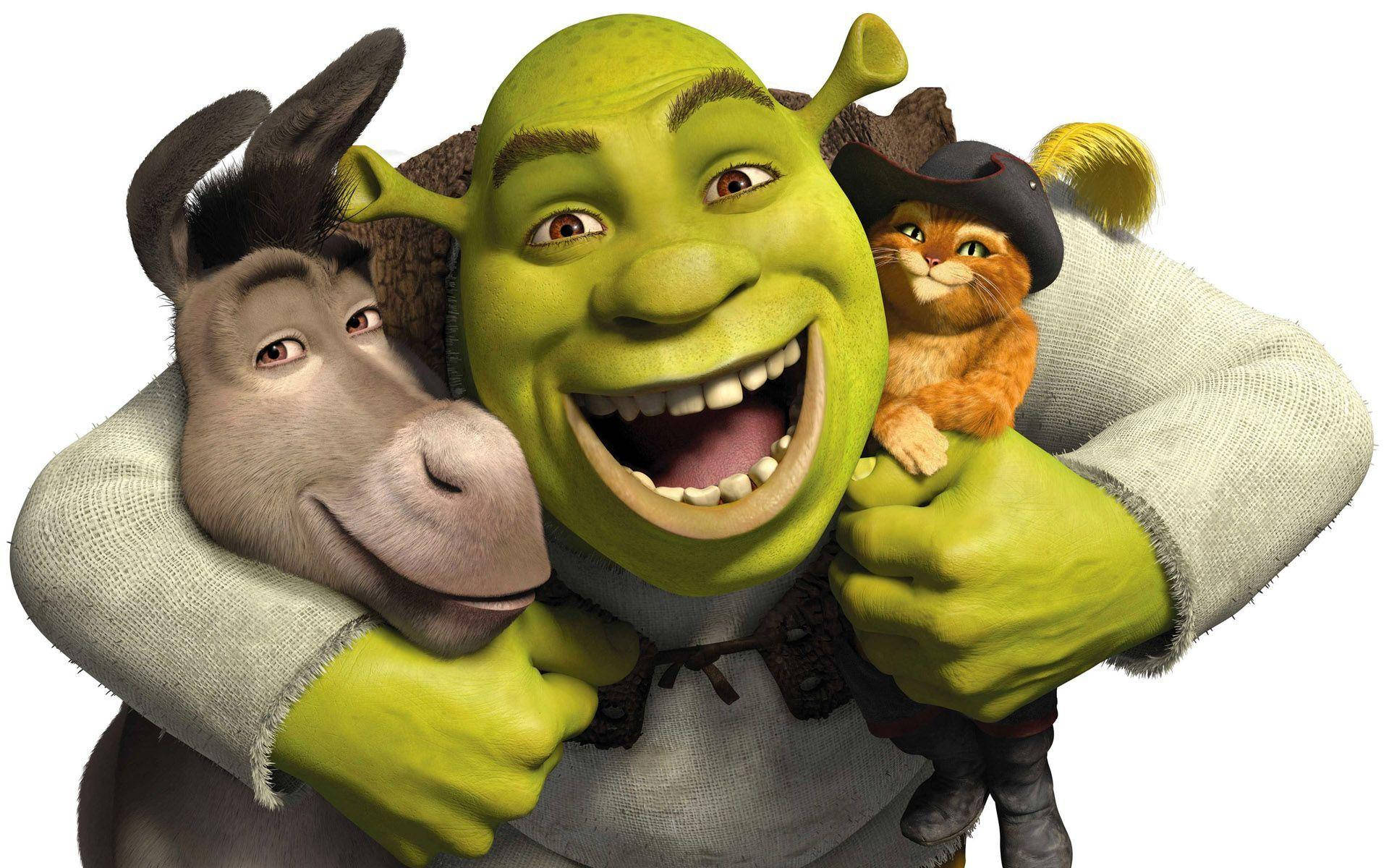 Cartoons Shrek Donkey Puss Background