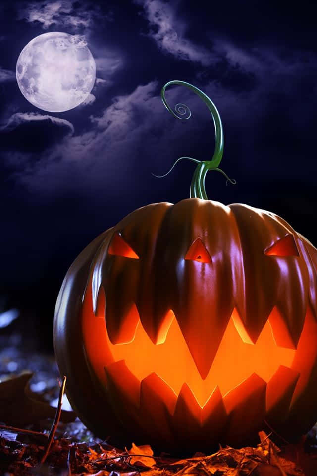 Carved Pumpkin Moonlight Halloween Poster Background