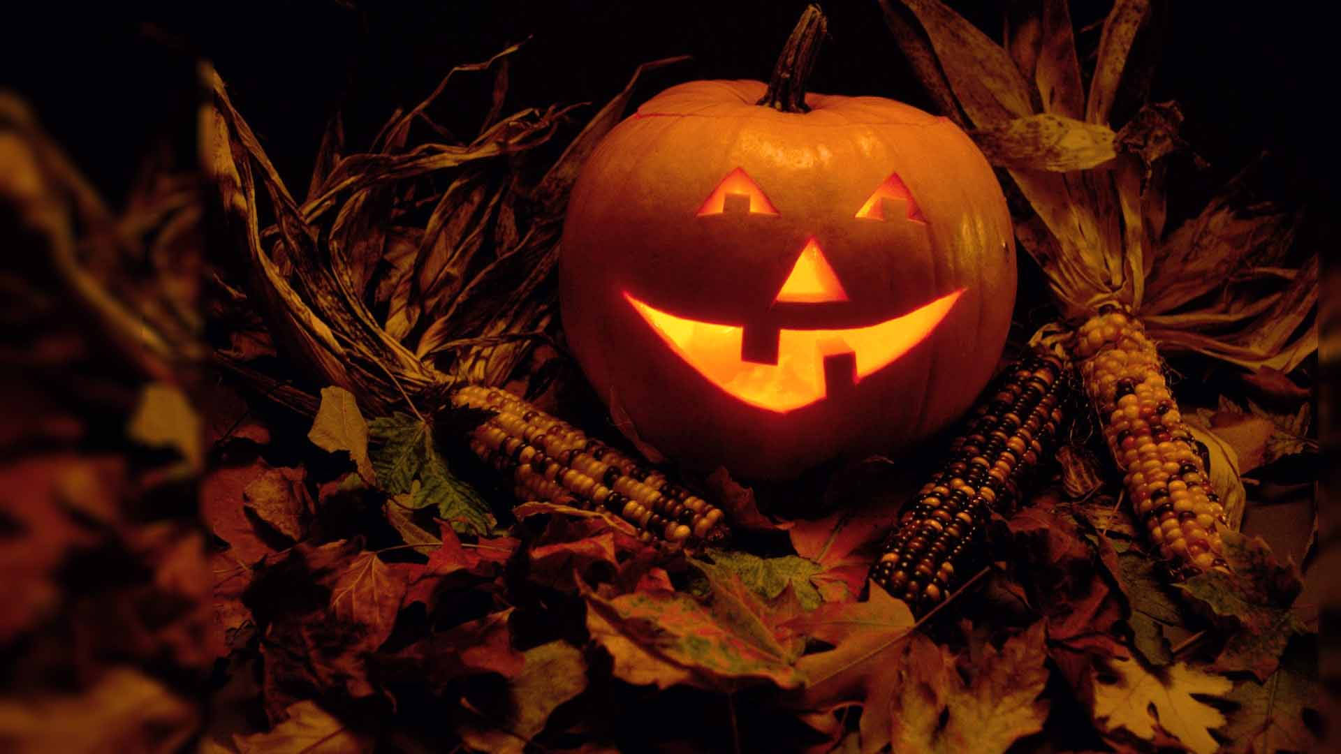 Carved Pumpkin With Corn Halloween Computer Background