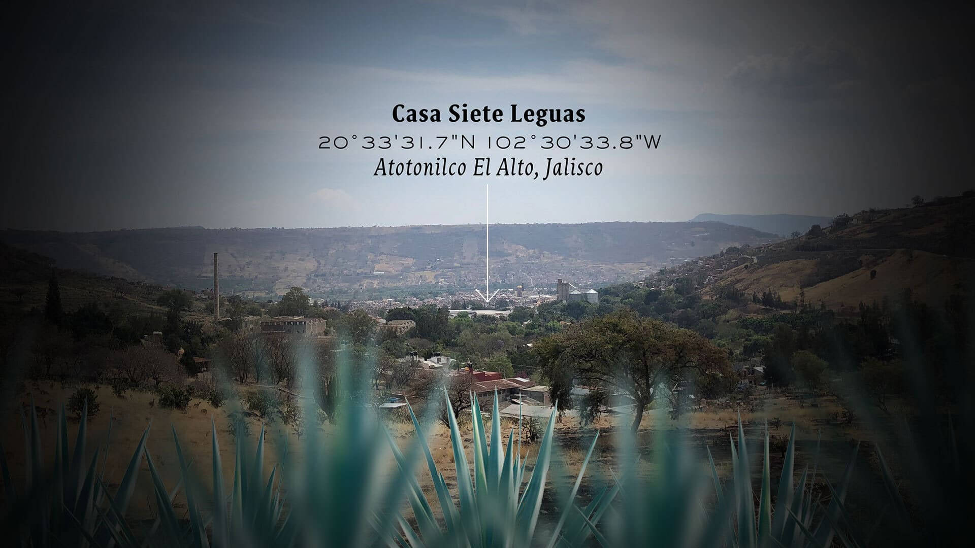 Casa Siete Leguas Tequila Plantation Background