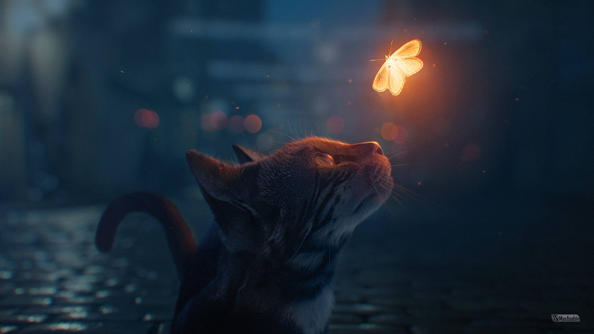 Cat And Night Butterfly