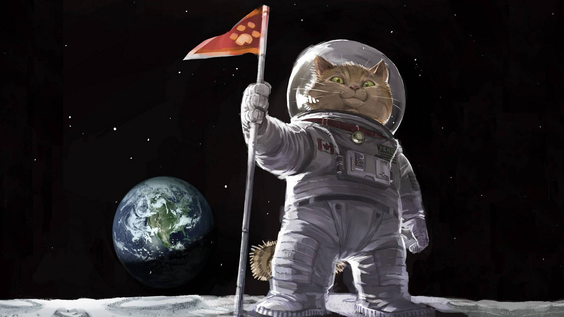 Cat Art Astronaut Cat Background