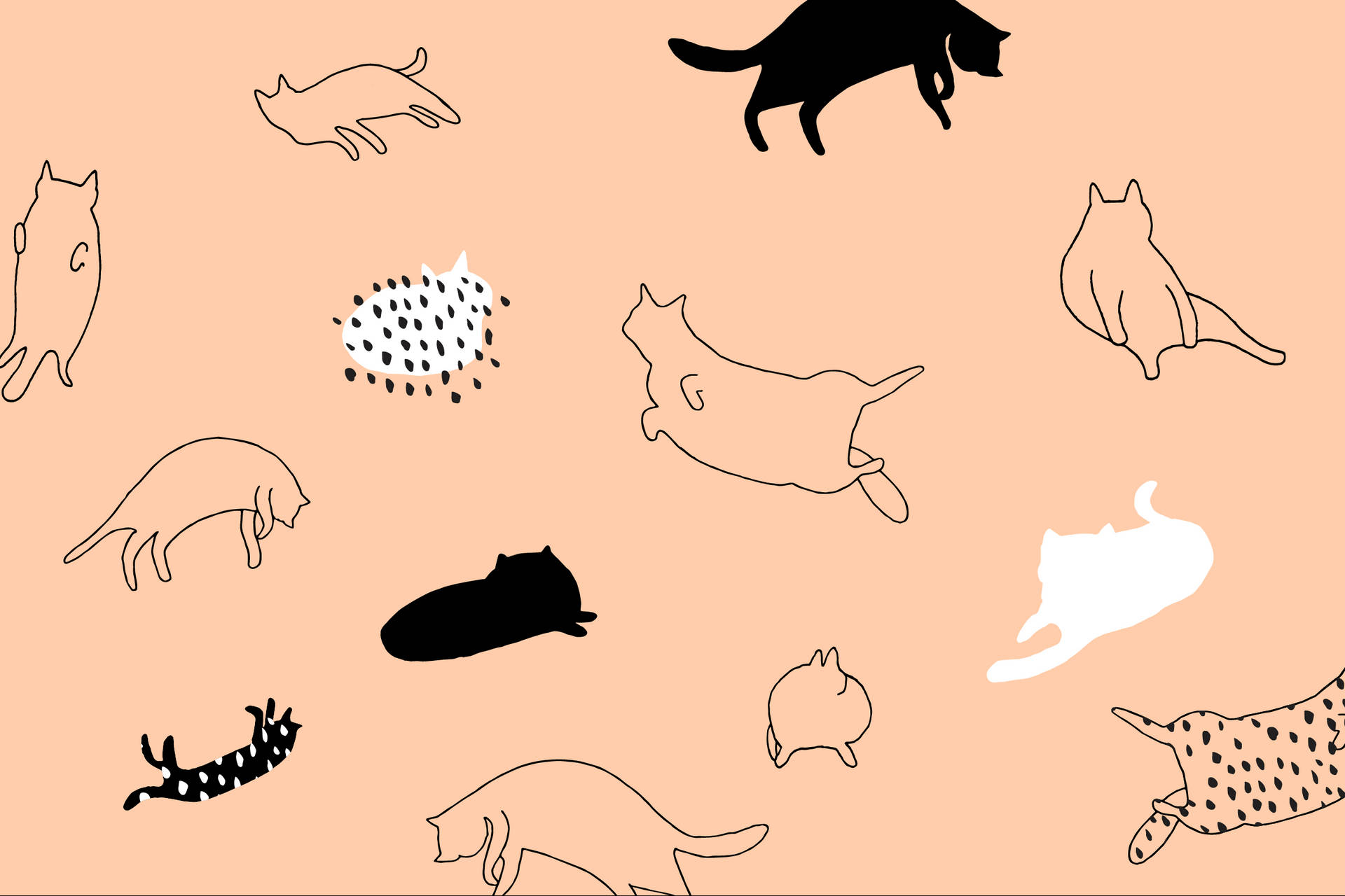 Cat Art Minimalist Outline Illustration Background