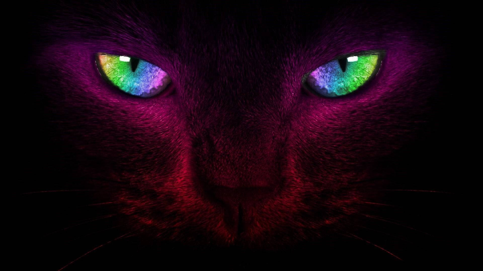Cat Art Multi Coloured Neon Eyes