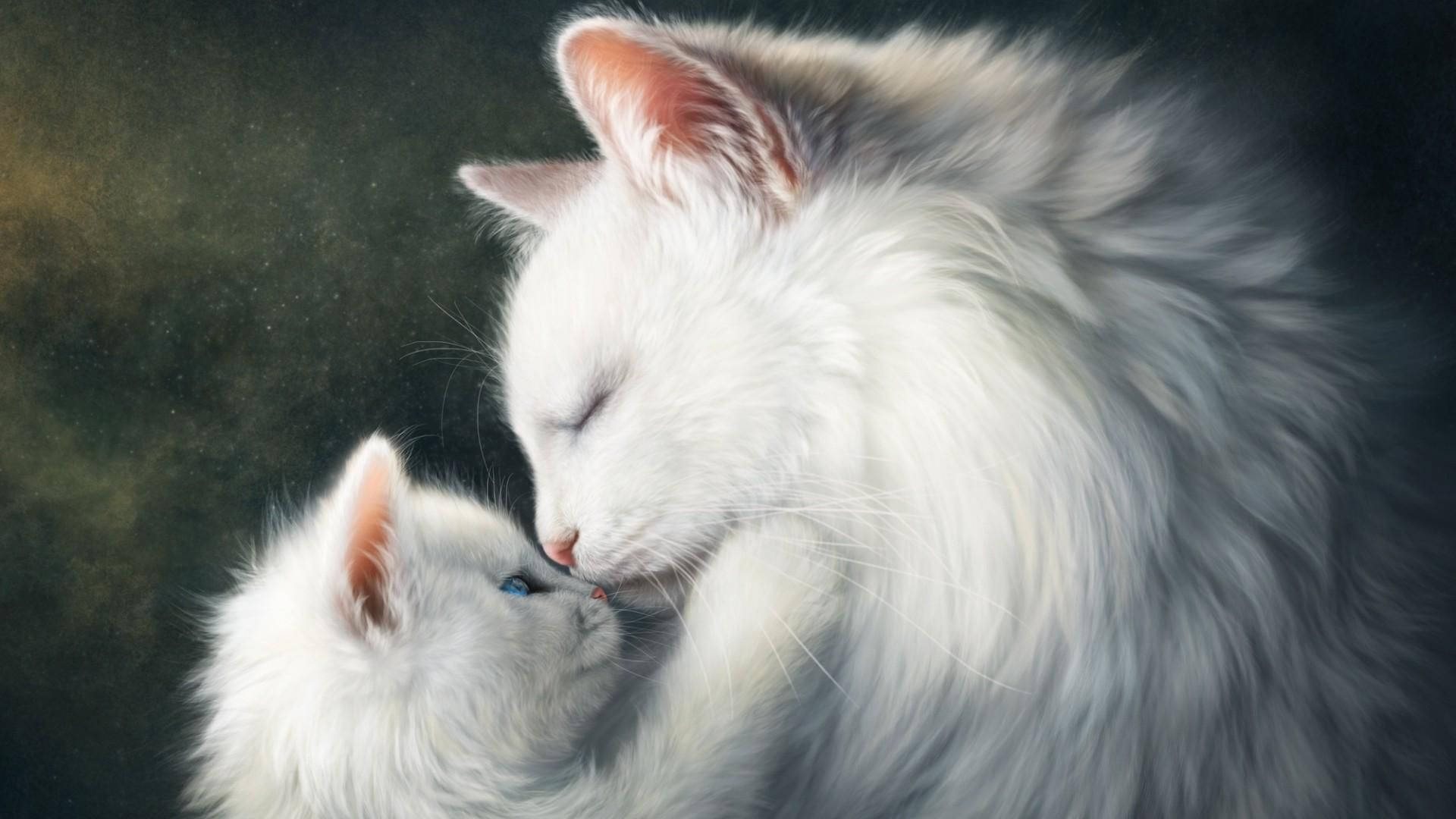 Cat Art White Cloud Cats