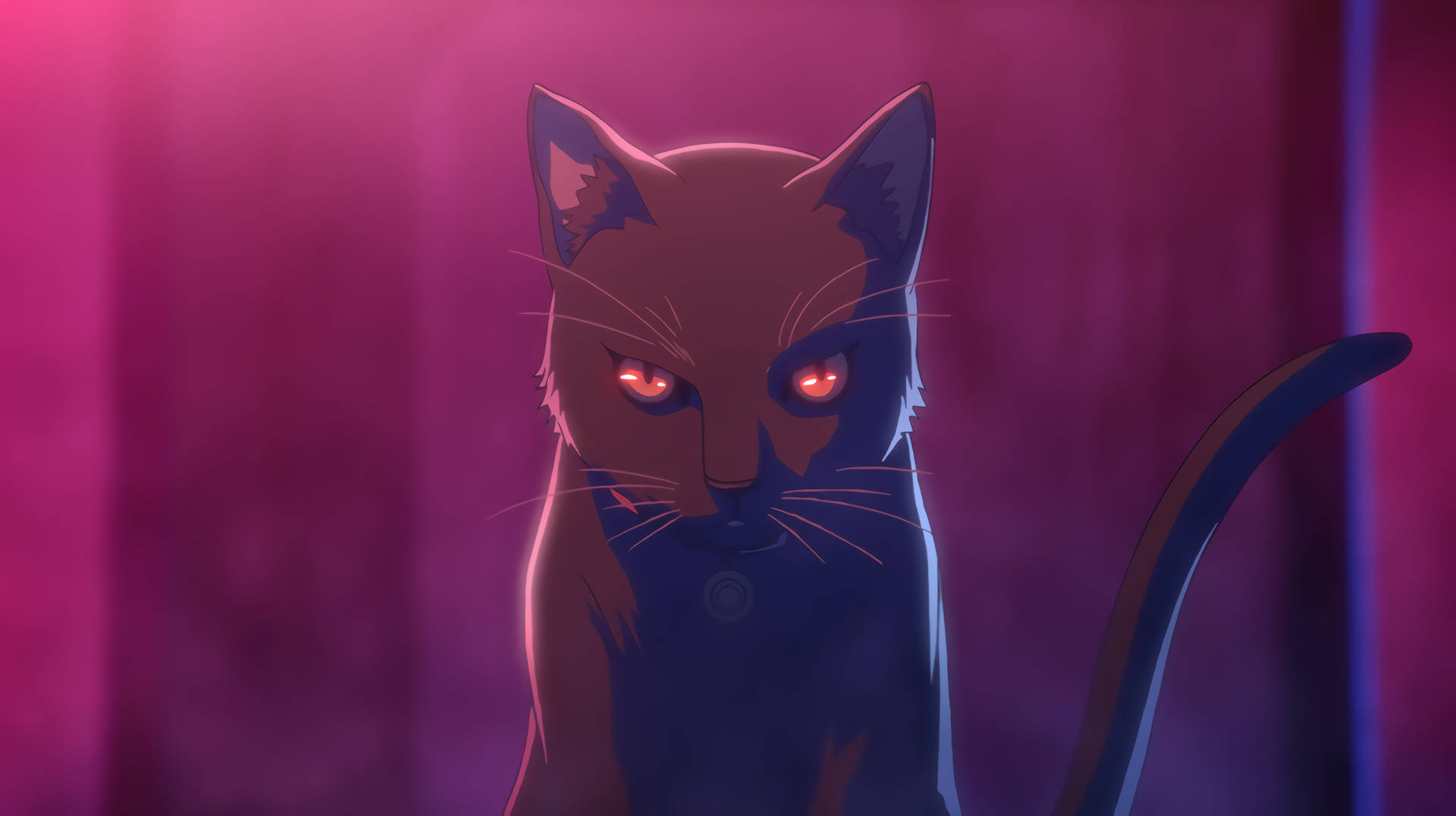 Cat Computer Black Anime Background