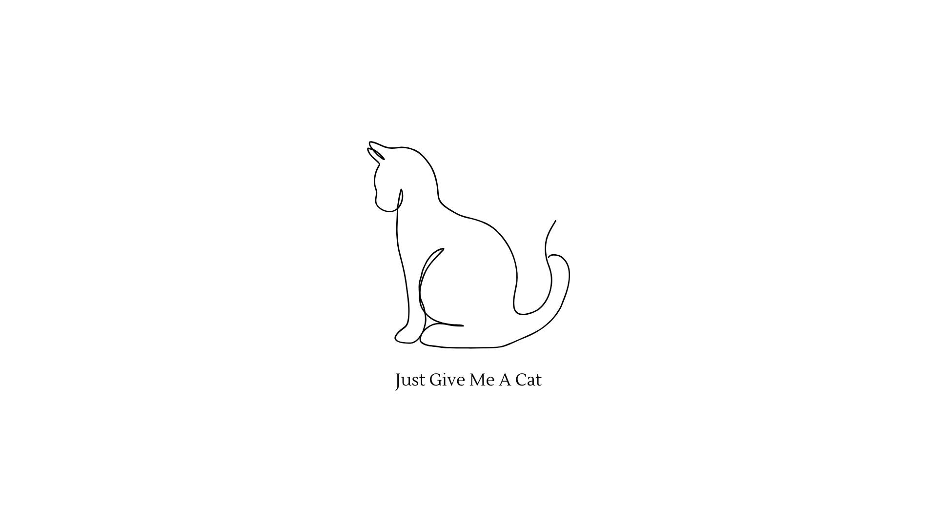 Cat Drawing In Cute White Aesthetic Background