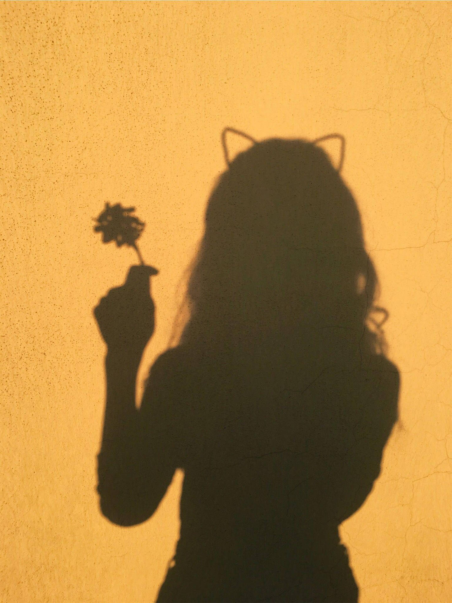 Cat Ears Curly Girl Aesthetic Background