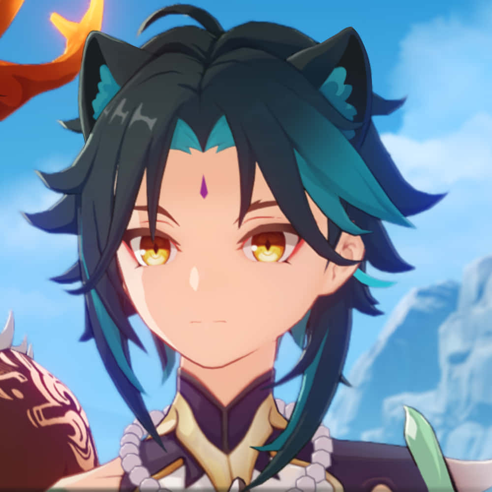 Cat Ears Xiao Pfp Background