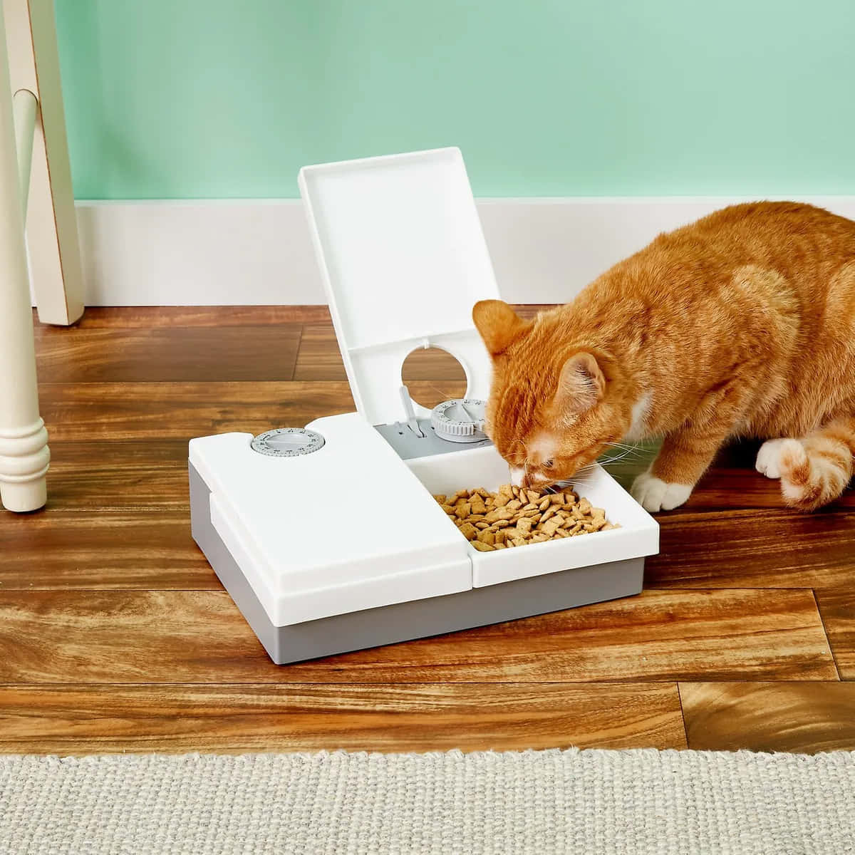 Cat Eating From Automatic Feeder Background