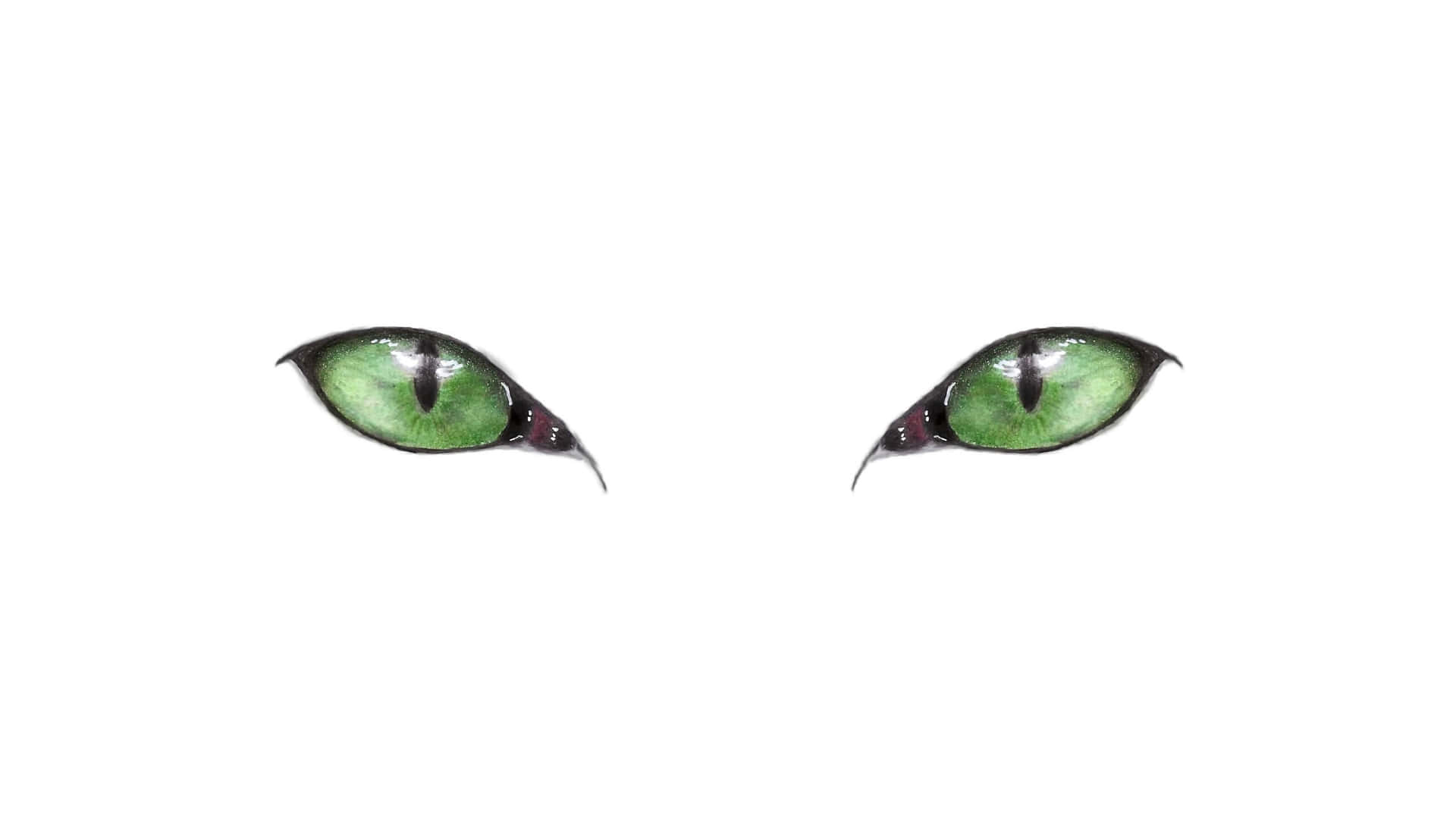 Cat Green Eyes Digital Illustration