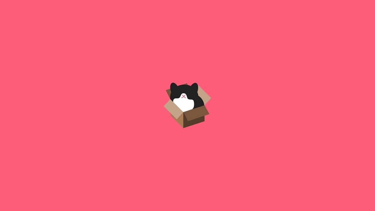 Cat In Box Minimalist Design Hd Background