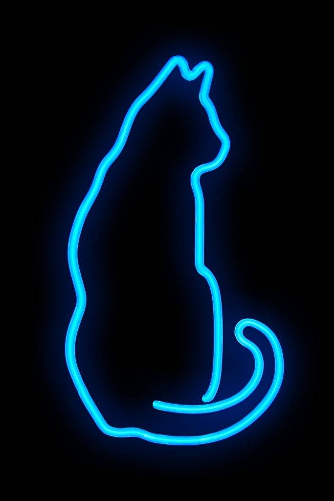 Cat In Cool Neon Blue Art Background