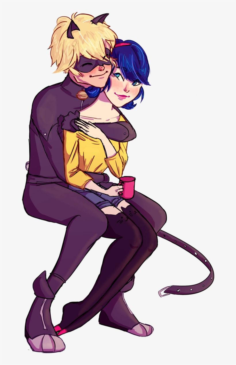 Cat Noir And Marinette Background