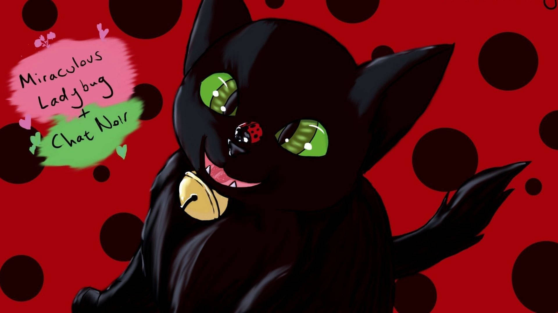 Cat Noir Animal Figure Background