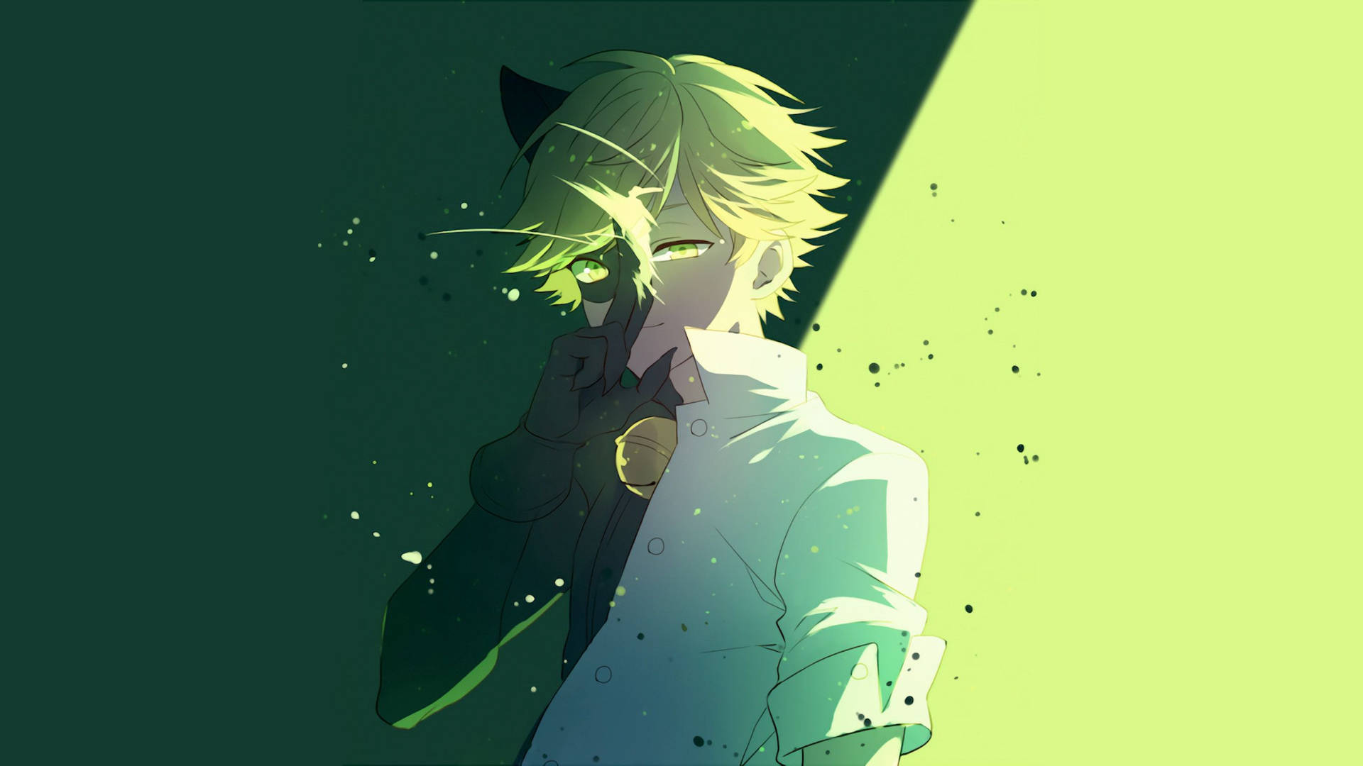 Cat Noir Dual Personality Background
