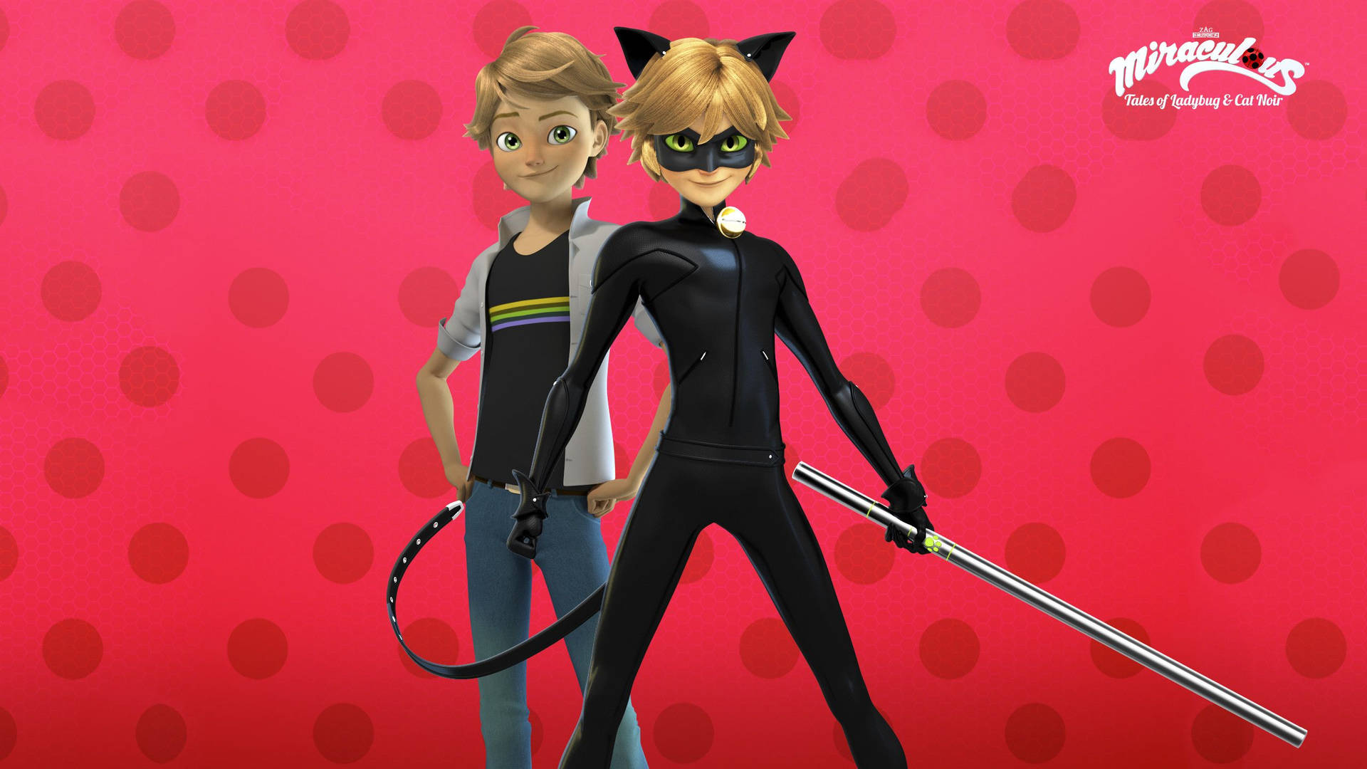 Cat Noir From Miraculous Background