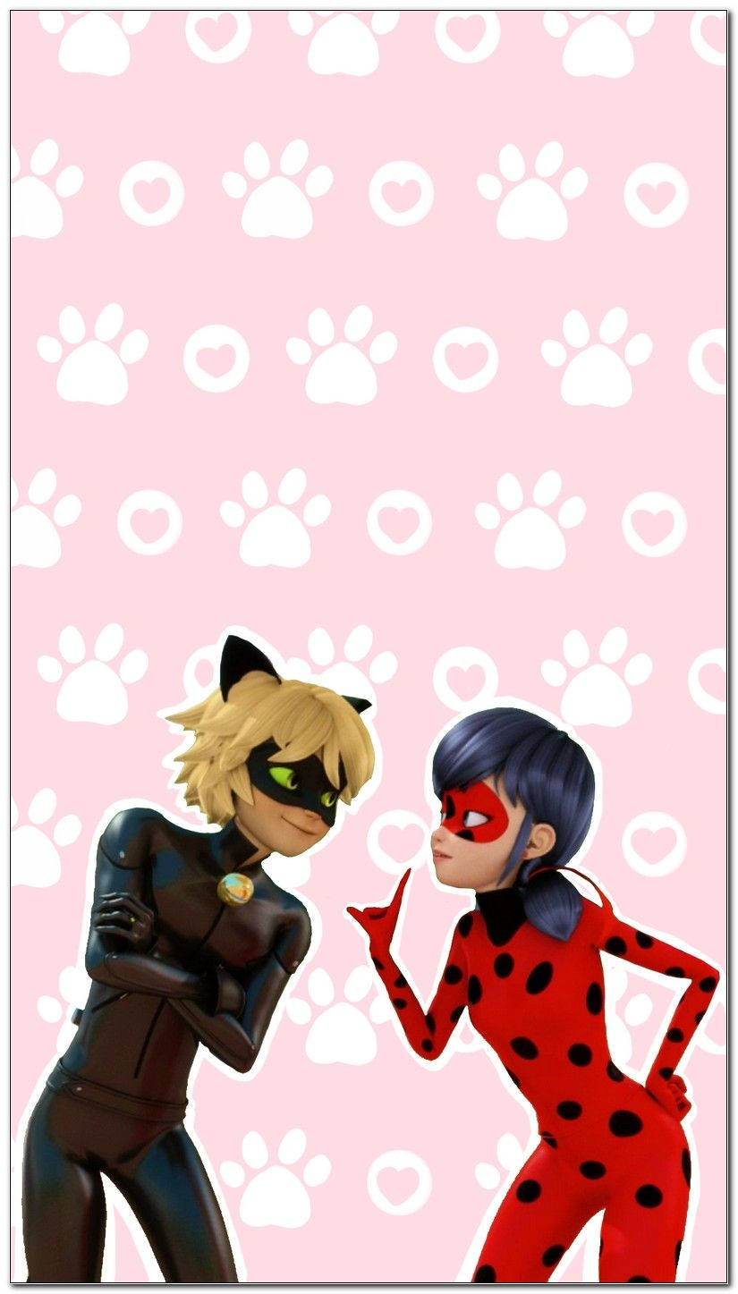 Cat Noir Paws And Heart Background