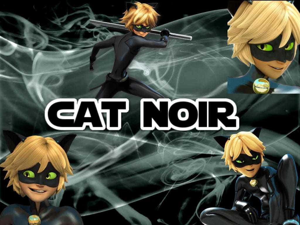 Cat Noir Wallpapers - Cat Noir Wallpapers