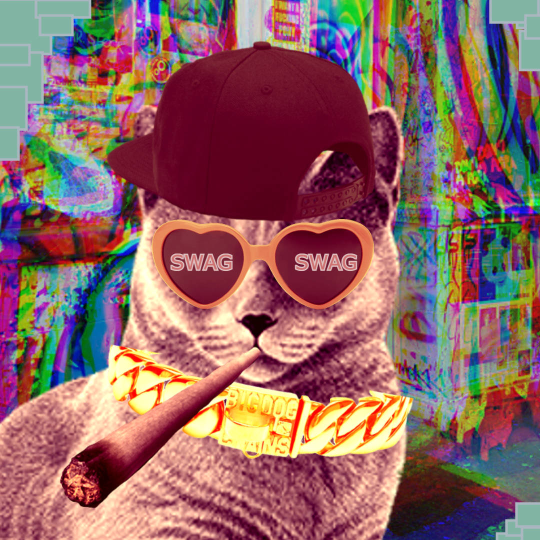 Cat Swag Background