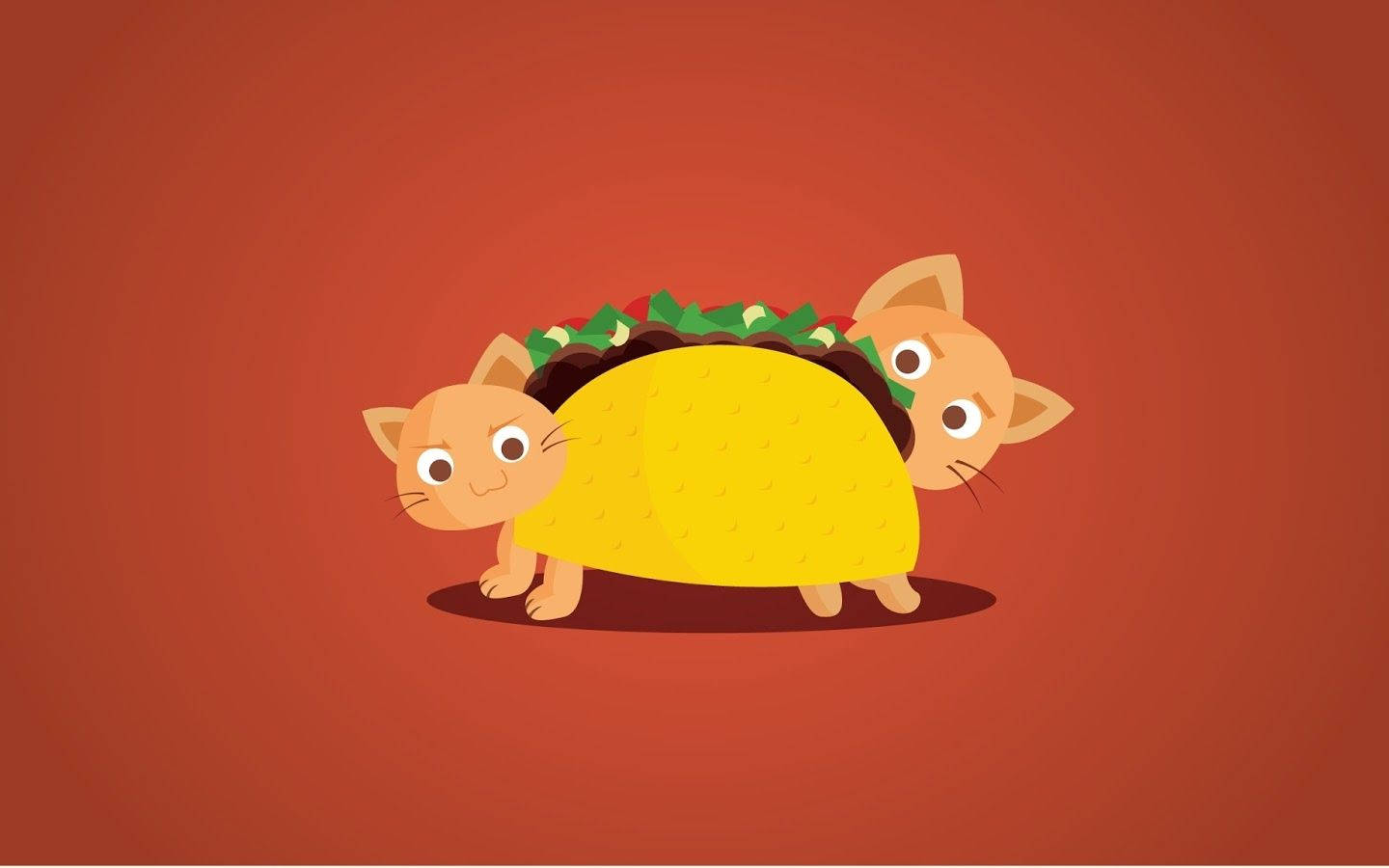 Cat Taco Cute Aesthetic Pc Background