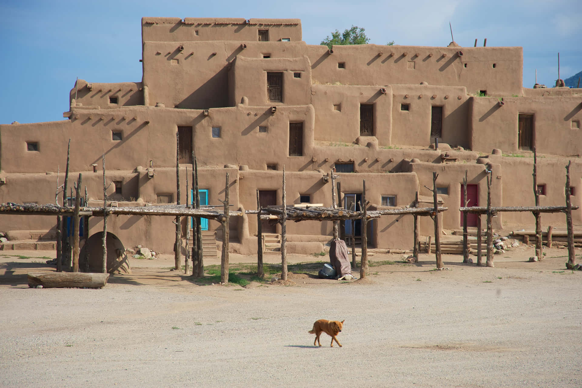 Cat Walking In Taos Pueblo