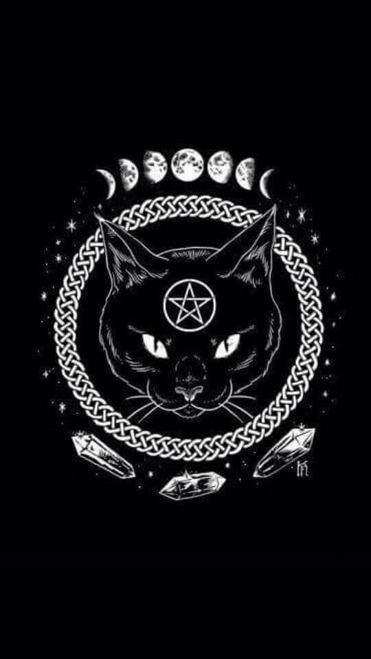 Cat Witchcraft Background