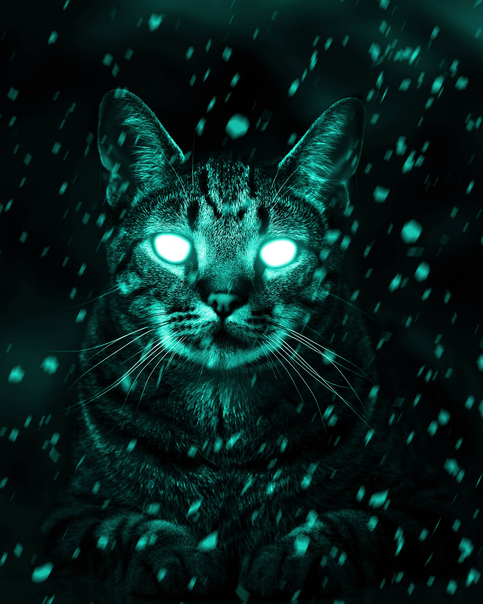 Cat With Cyan Eyes Background