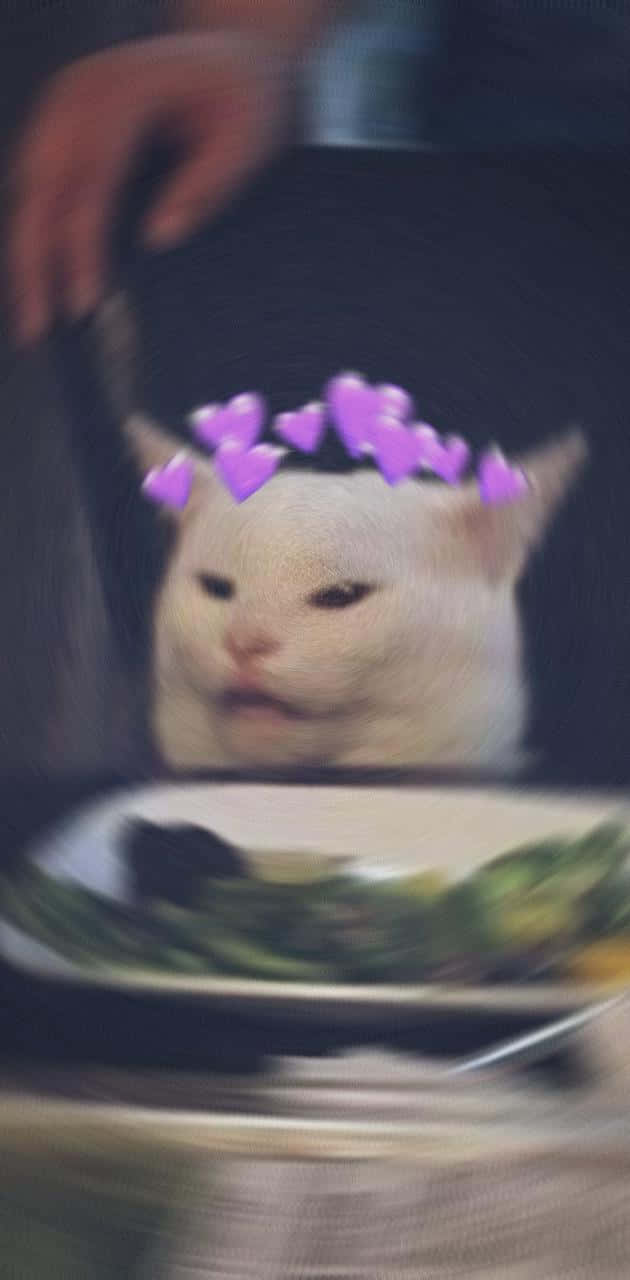 Cat_with_ Flower_ Crown_ Blur_ Effect.jpg Background