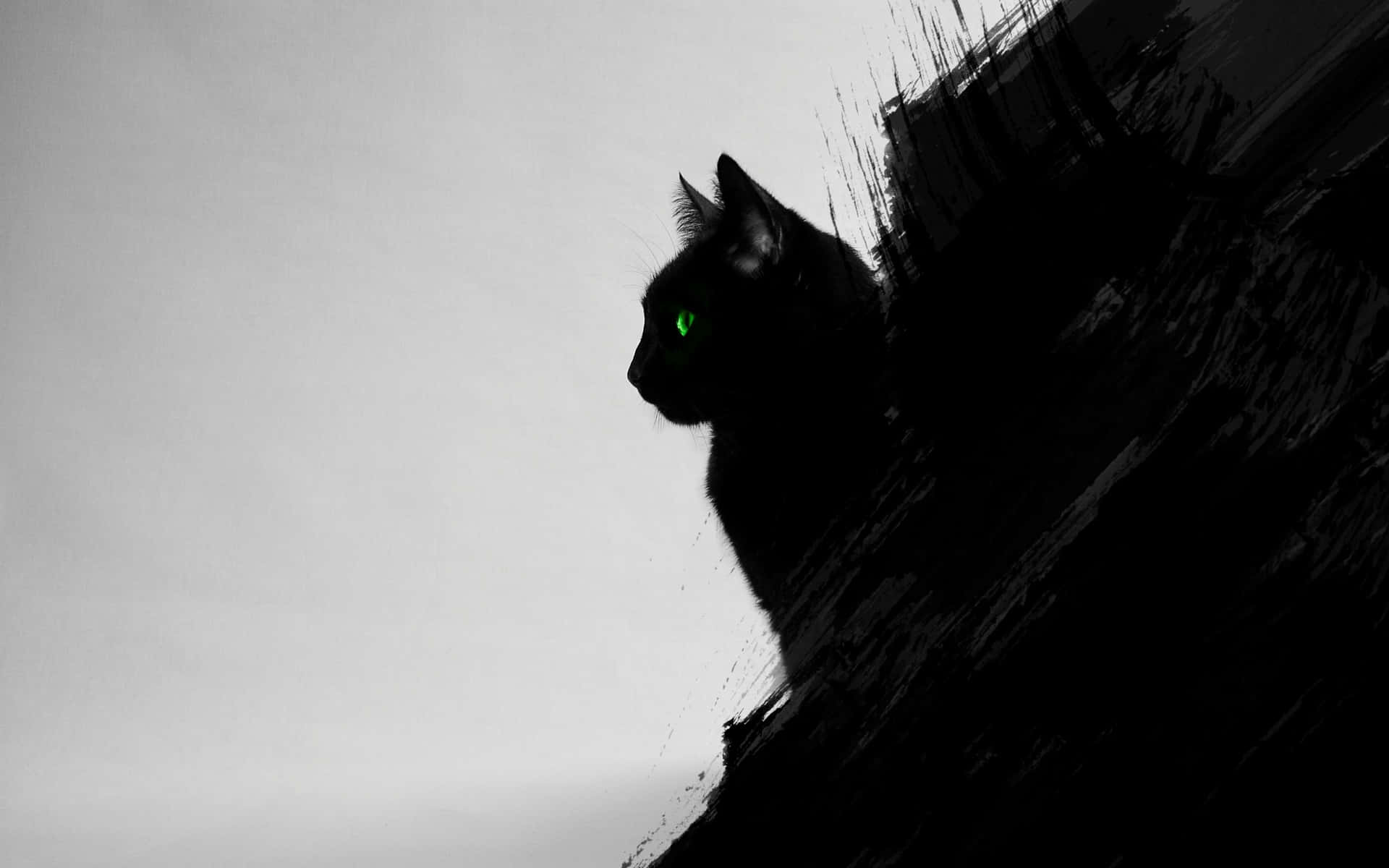 Cat With Green Eyes Digital Art