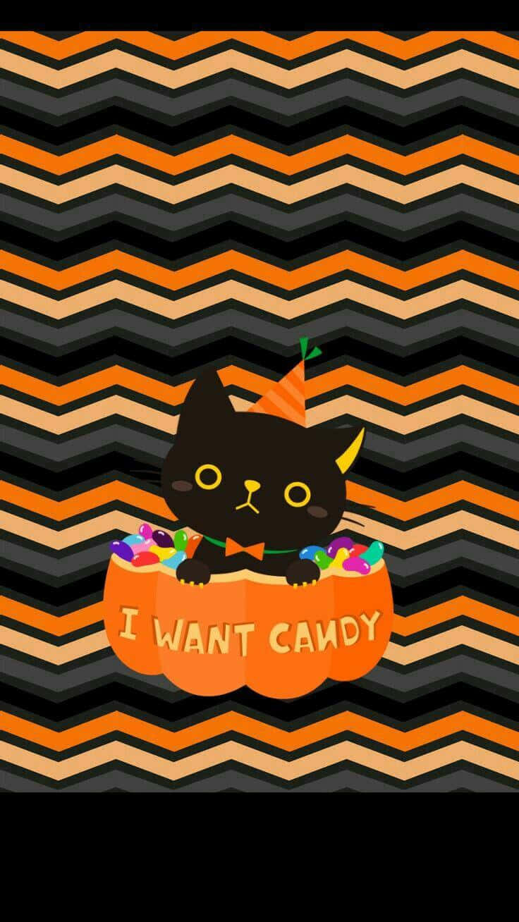 Catch A Peek Of This Mischievous Black Cat, Celebrating The Spookiest Night Of The Year! Background