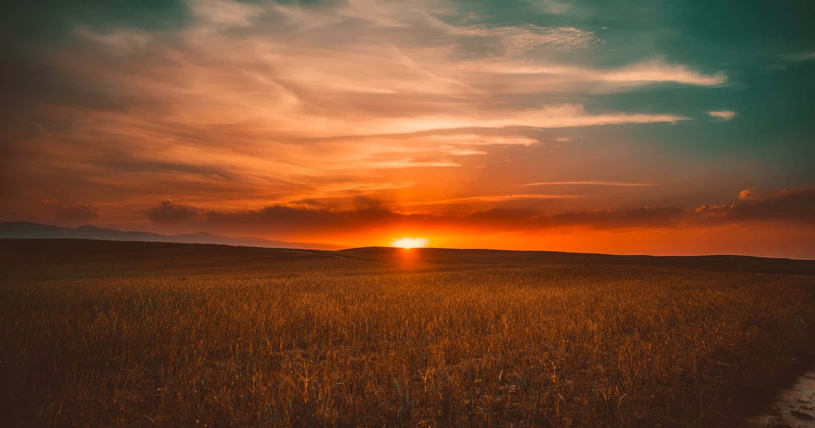 Catch That Perfect Evening Glow