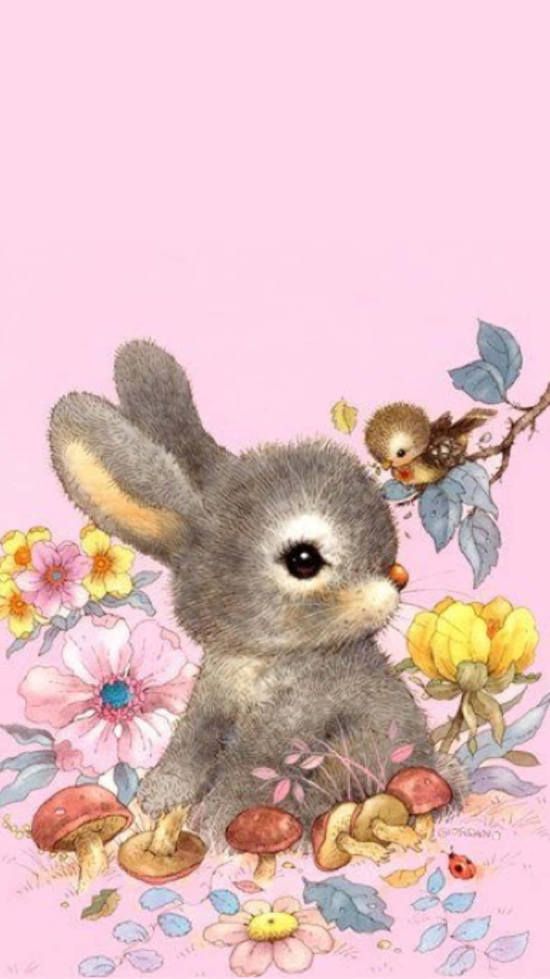 Catch The Cutest Bunny On Your Phone With The Iphone Background