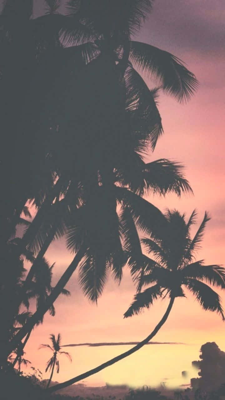 Catch This Serene Aesthetic Sunset On Your Iphone Background
