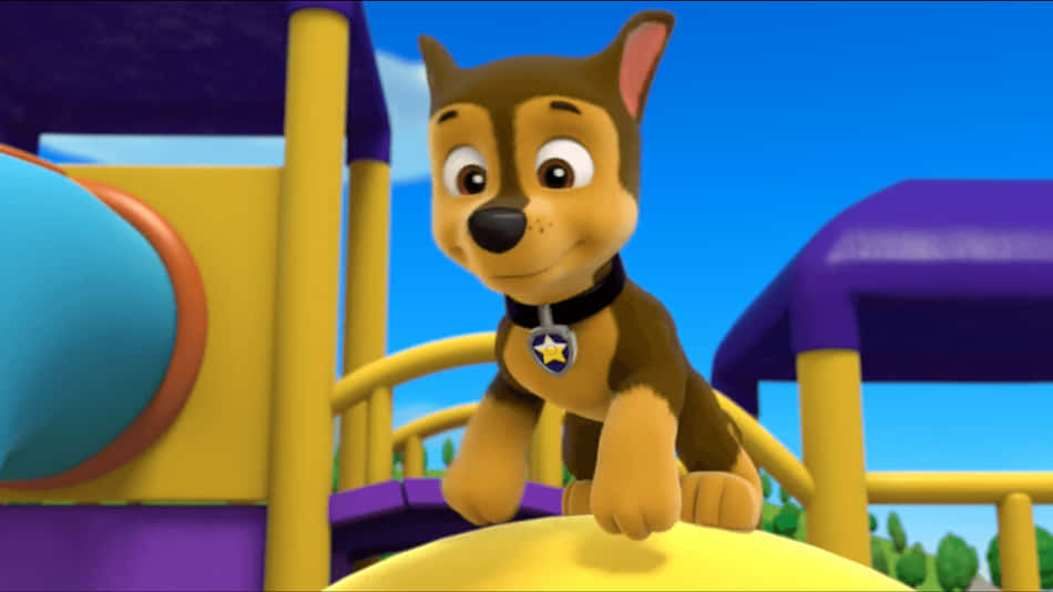 Catch Up With Chase From The Paw Patrol Background