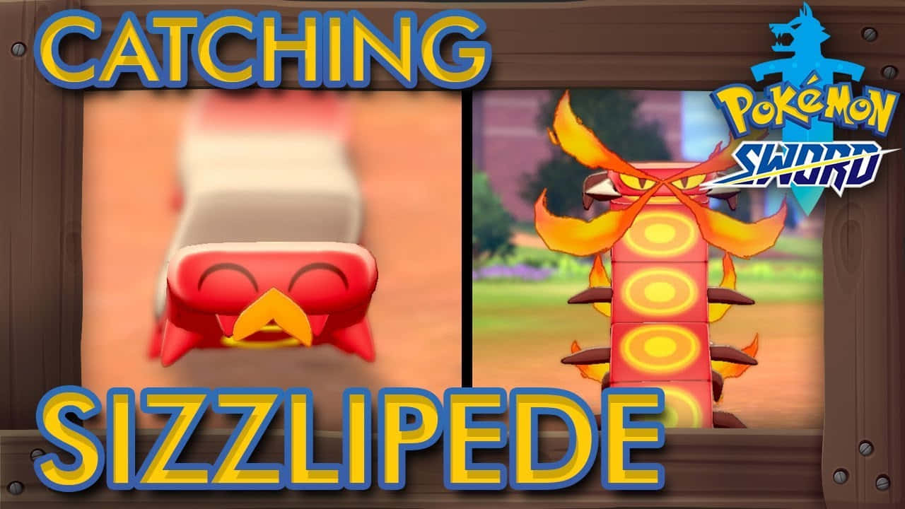 Catching Sizzlipede Background